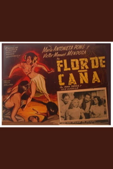 Flor de caña Trailer