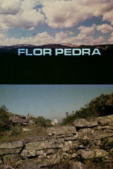 Flor Pedra Trailer
