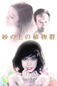 Flora on the Sand Trailer