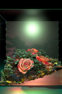 FLORALIA III Trailer