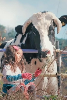Flower Cow Trailer
