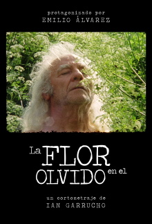 Flower in Oblivion Trailer