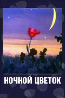 Flower of the Night Trailer