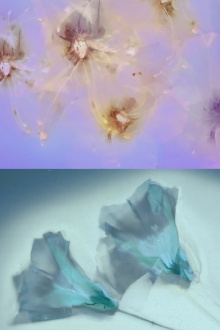 Flower Rain Trailer