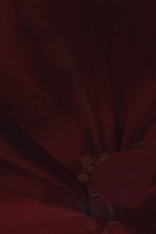 Flowerbed Trailer