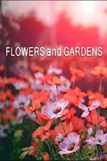 Flowers and Gardens Trailer