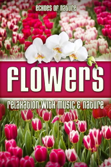 Flowers: Echoes of Nature Relaxation with Music & Nature Trailer