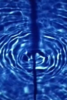 Fl.oz Trailer