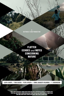 Flutter Echoes and Notes Concerning Nature Trailer