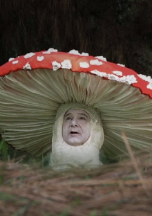 Fly Amanita Trailer