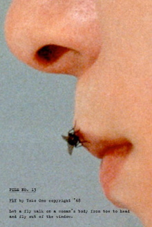 Fly Trailer