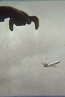 Flying Trailer