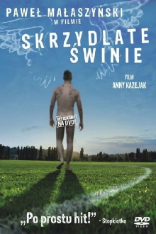 Flying Pigs Trailer