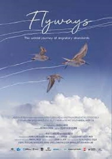 Flyways Trailer