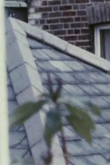 Focus I Trailer
