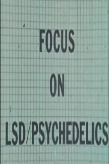 Focus on LSD Trailer