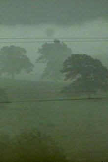 Fog Line Trailer