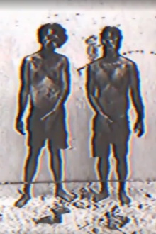 Fook Fook Boys Trailer