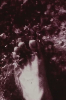 Footprints Trailer