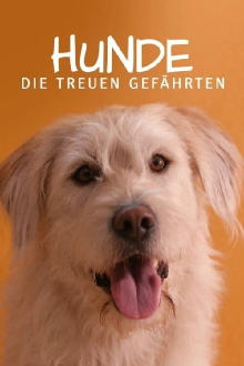 For Dog’s Sake Trailer