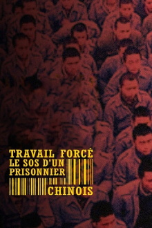 Forced Labour: SOS from a Chinese Prisoner Trailer