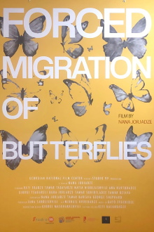 Forced Migration of Butterflies Trailer