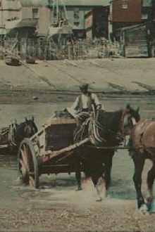 Fording the River Trailer