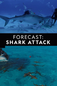 Forecast Shark Attack Trailer