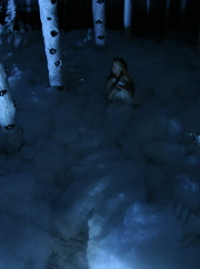 Forest Trailer