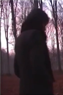 Forest Trailer
