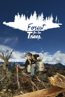 Forest for the Trees Trailer