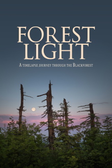 Forest Light Trailer