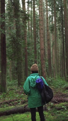 Forest Movie Trailer