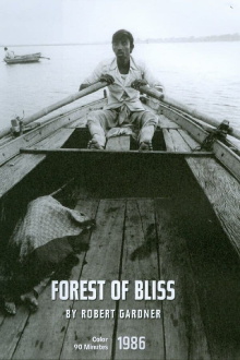 Forest of Bliss Trailer