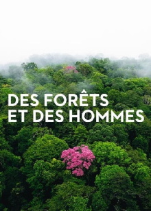 Forests and People Trailer