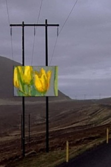 Forged Paintings in Real Icelandic Landscapes Trailer