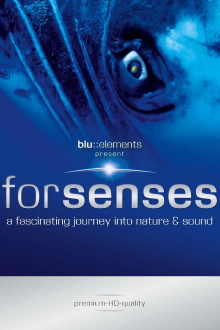 Forsenses - A Fascinating Journey into Nature & Sound Trailer