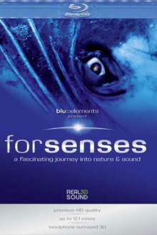 Forsenses：Blu Elements Trailer