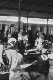 Fort-de-France : marché Trailer