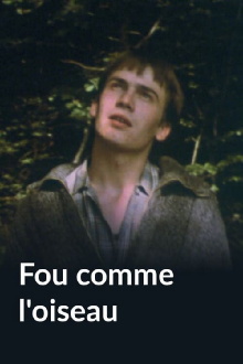 Fou comme l'oiseau Trailer
