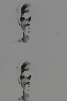 Four Trailer