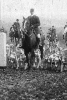 Fox Hunt Trailer