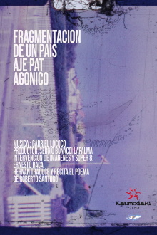 Fragment of a Patagonia Landscape Trailer