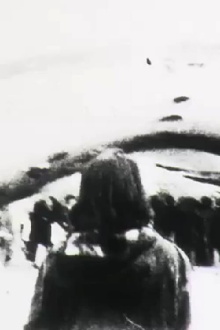 Frame Walk Trailer