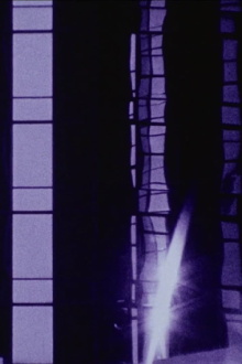Framed Trailer