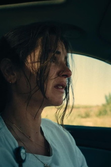 Free Fall Trailer