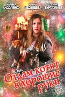 Free Kittens to Good Home Trailer