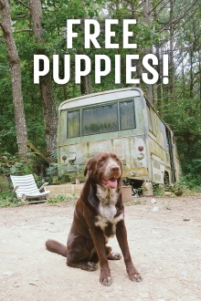 Free Puppies! Trailer