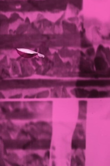 Frequency Objects Trailer