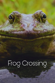 Frog Crossing Trailer
